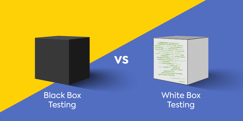 Differences between white box and black box testing