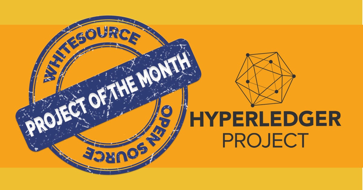 HyperLedger — Mend’s Open Source Project of the Month for April 2019