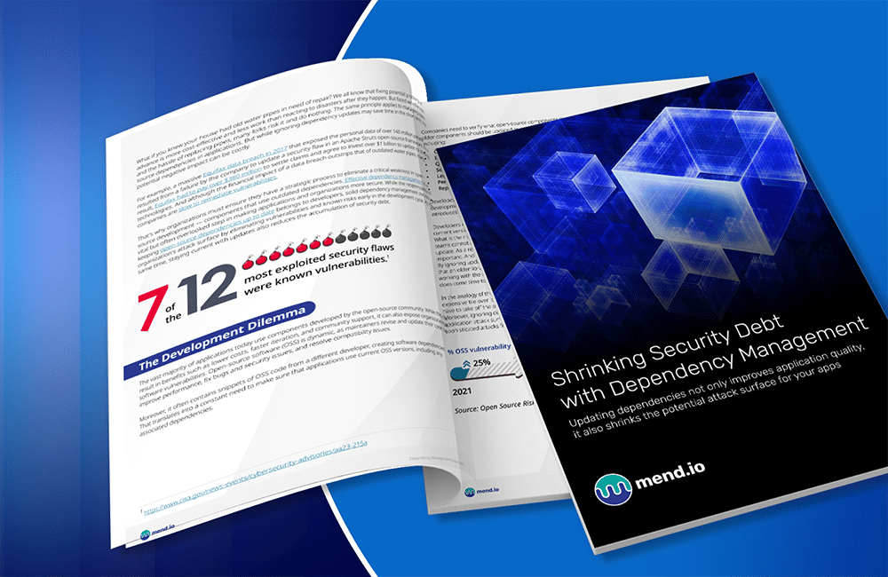 Renovate - Shrinking security debt guide