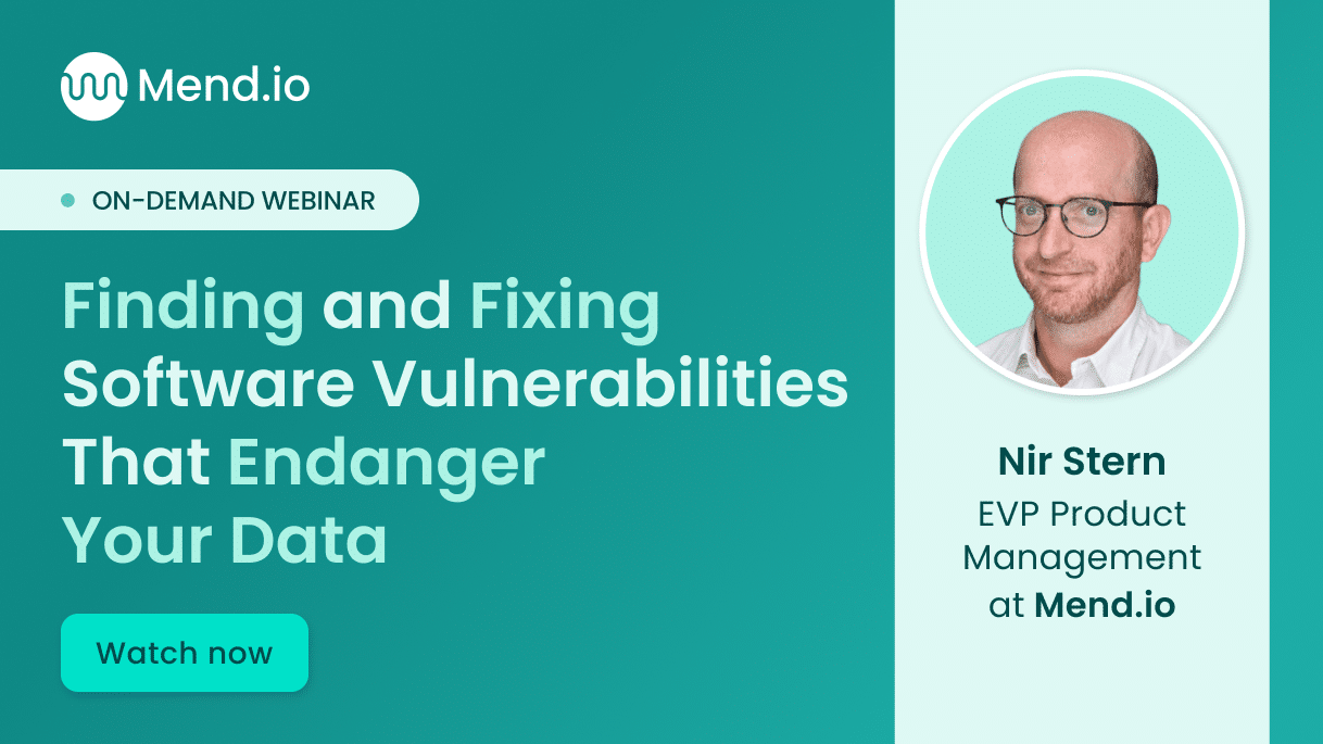 Webinar: Finding and Fixing Software Vulnerabilities That Endanger Your Data -