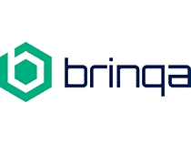 Partners - brinqa logo