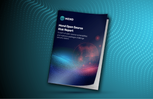 Introducing the Mend Open Source Risk Report