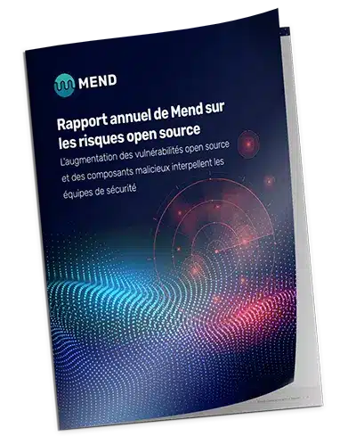 risk report fr - large Open Source Risk Report mock fr.png