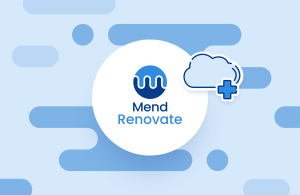 Mend Renovate Enterprise Cloud: Dependency Updates at Scale