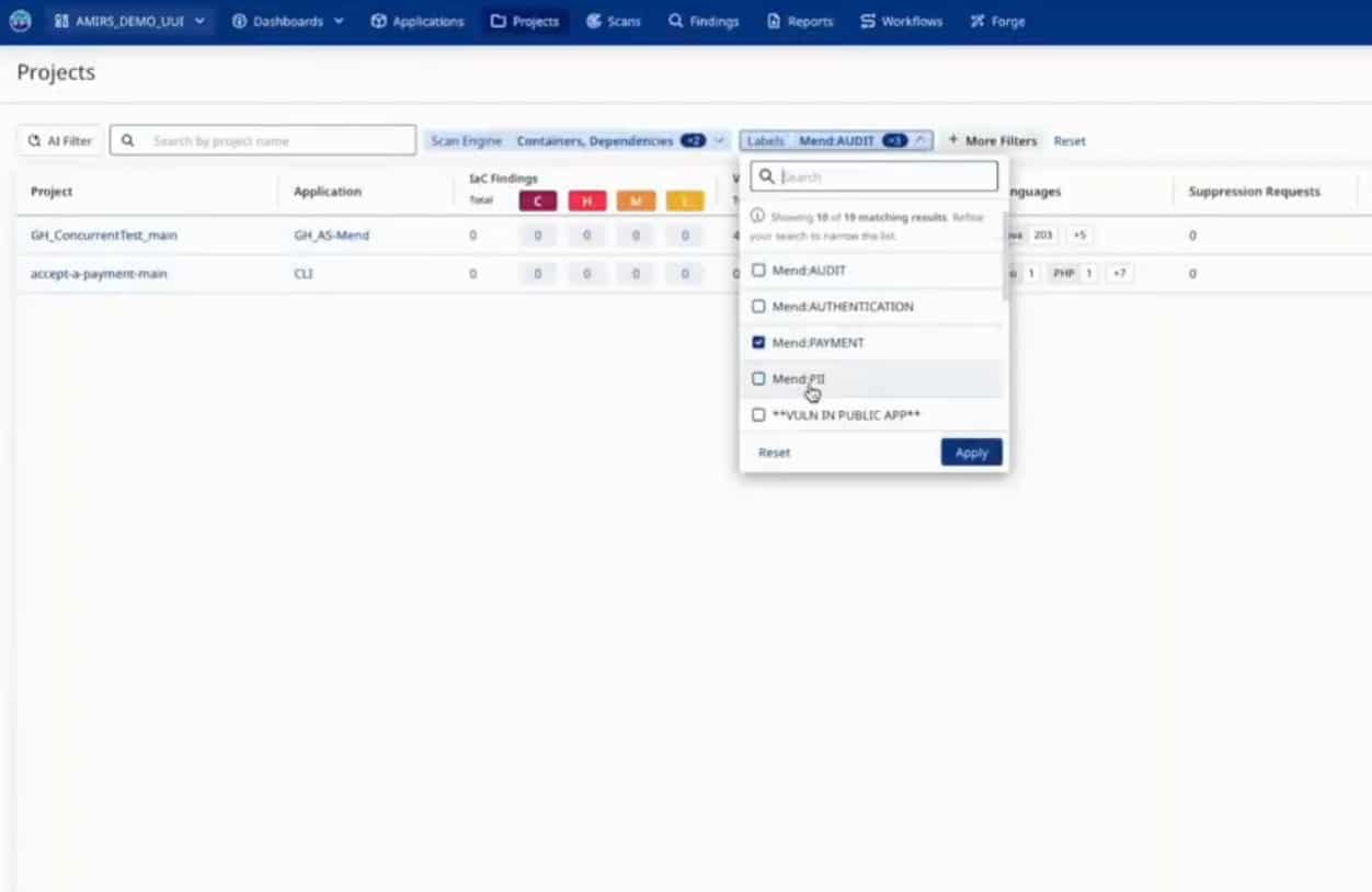 Mend Forge - ai driven project classification